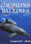 Dauphins et baleines