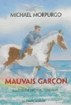 Mauvais garçon