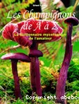 Les champignons de A à Z : Le dictionnaire mycologique de l'amateur