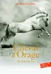 Cheval d'orage Tome 3 : galop de feu