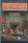 Le fils du pharaon : les pilleurs de pyramide. T.2