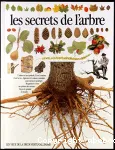 Les secrets de l'arbre.