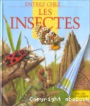 Les insectes.