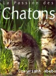 Les chatons