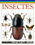 Insectes